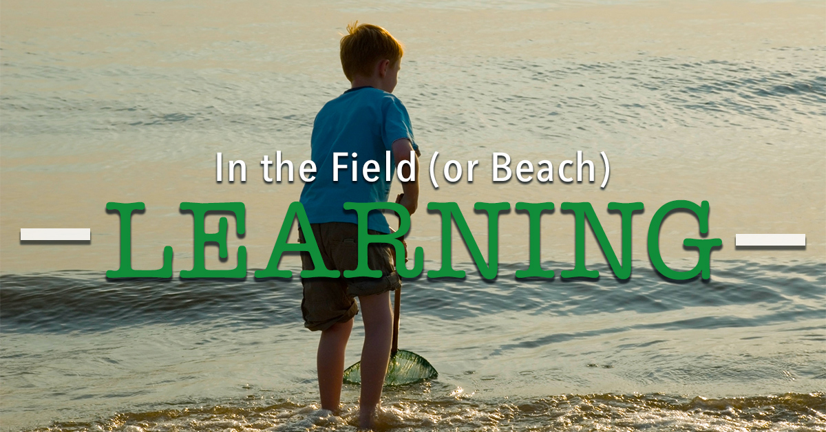 In the Field (or Beach) Learning